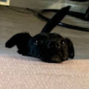 Meet your Posher, Aidan ryan